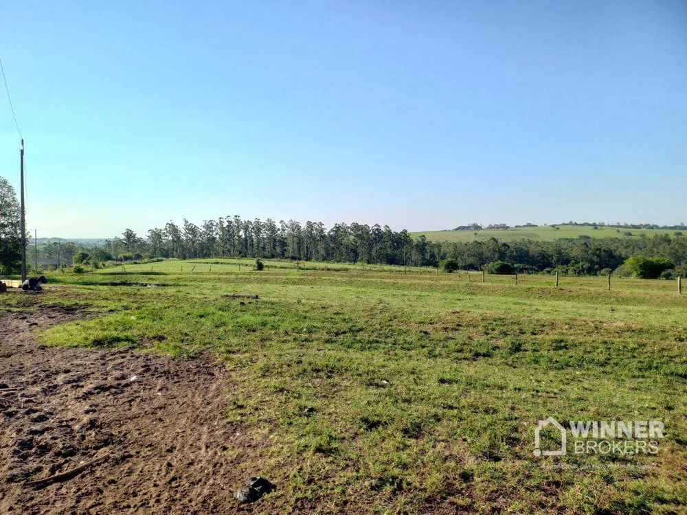 Sítio, 8 hectares - Foto 4