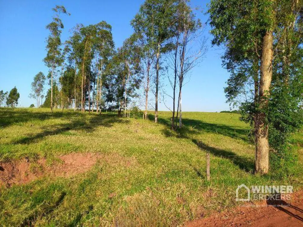 Sítio, 8 hectares - Foto 1