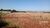 Terreno, 15 hectares - Foto 3