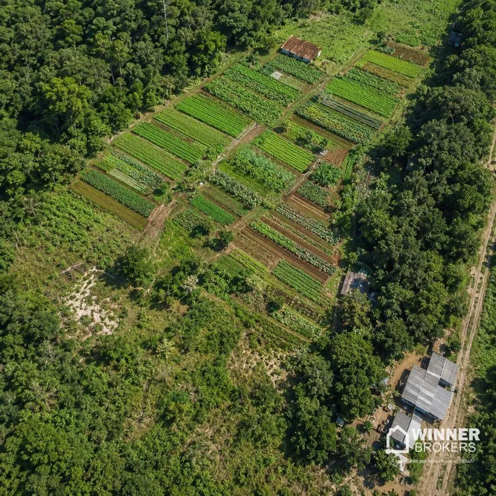 Sítio, 19 hectares - Foto 1