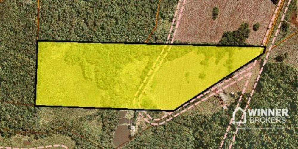 Sítio, 19 hectares - Foto 4