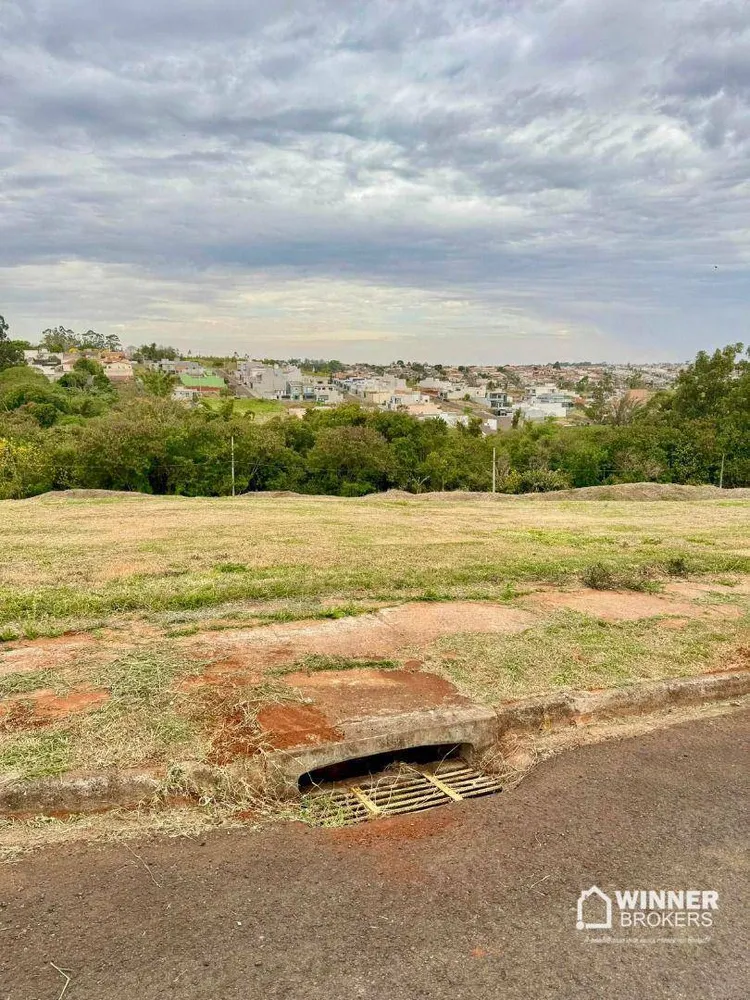 Terreno, 3 hectares - Foto 4