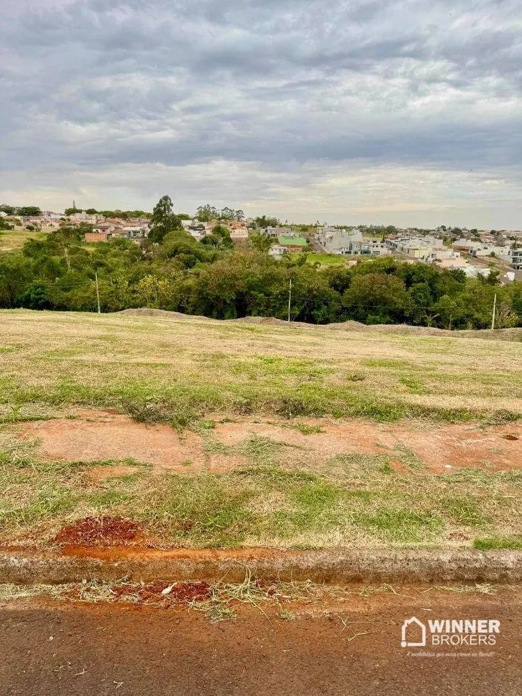 Terreno, 3 hectares - Foto 4