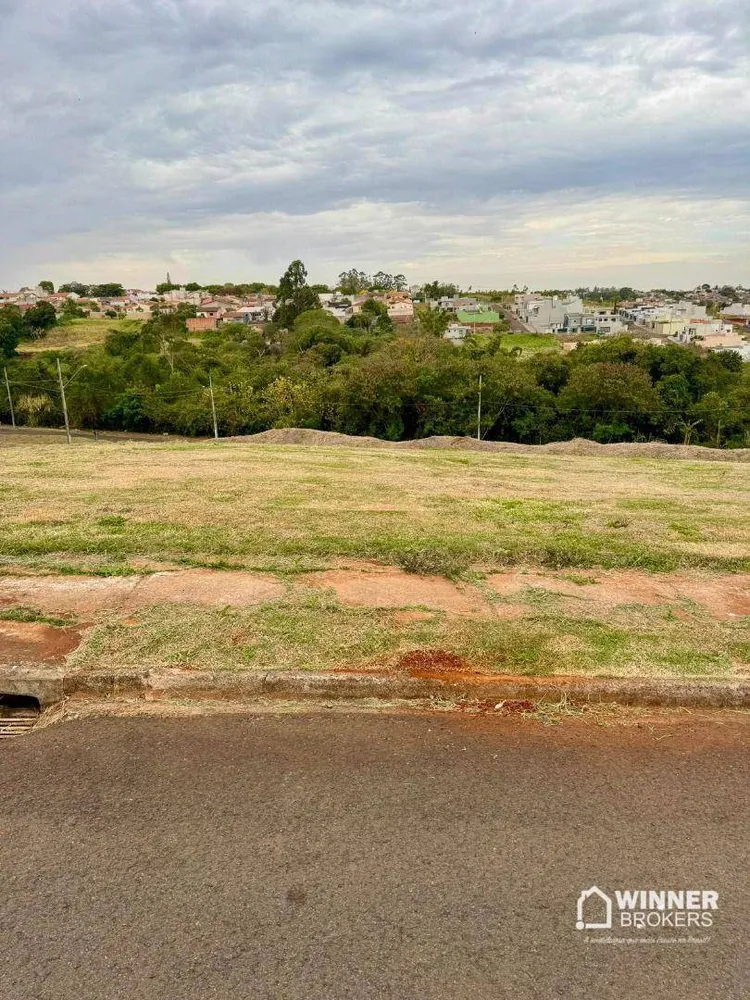 Terreno, 3 hectares - Foto 1