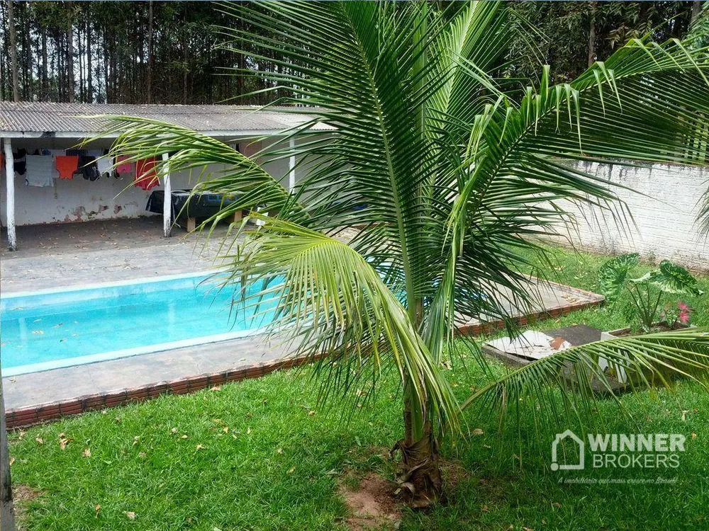Chácara, 4 quartos, 8000 m² - Foto 4