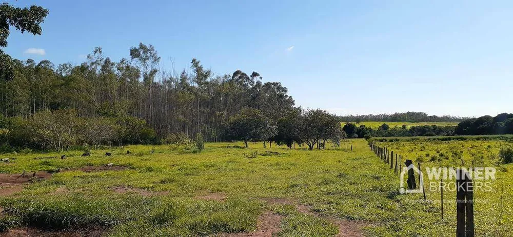Chácara, 6 quartos, 5 hectares - Foto 7
