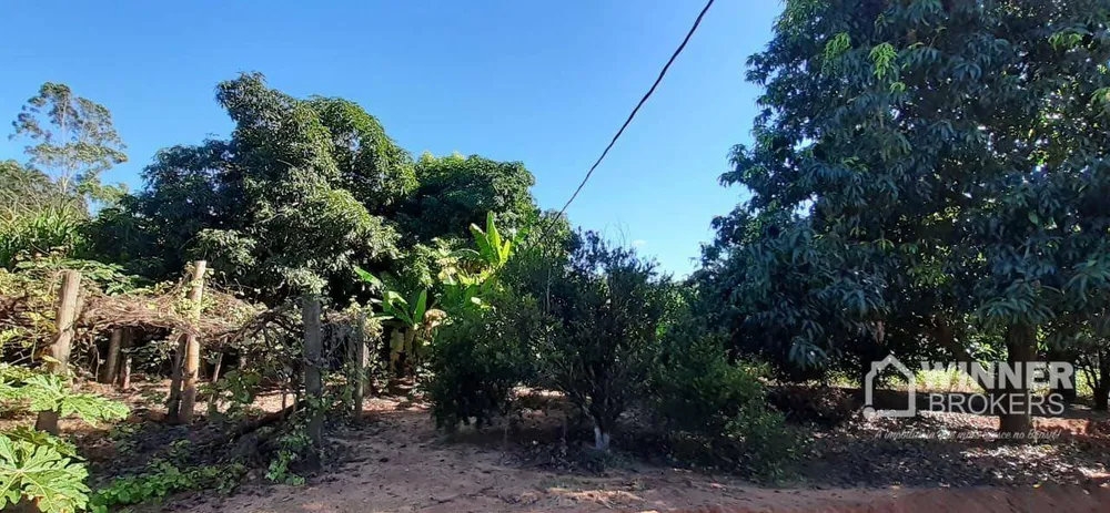 Chácara, 6 quartos, 5 hectares - Foto 6