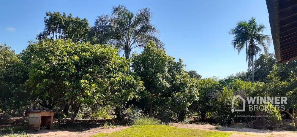 Chácara, 6 quartos, 5 hectares - Foto 12