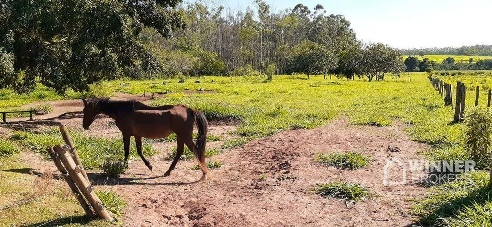 Chácara, 6 quartos, 5 hectares - Foto 10