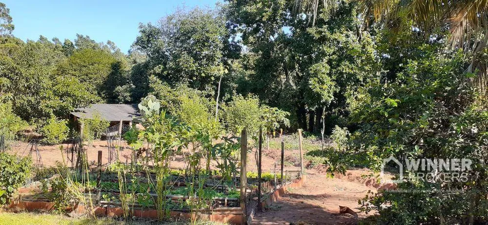 Chácara, 6 quartos, 5 hectares - Foto 5