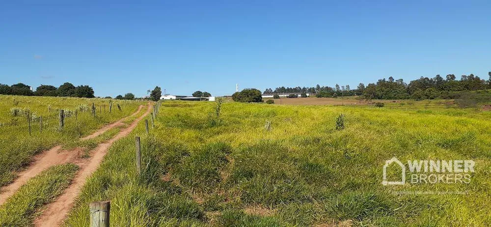 Chácara, 6 quartos, 5 hectares - Foto 8