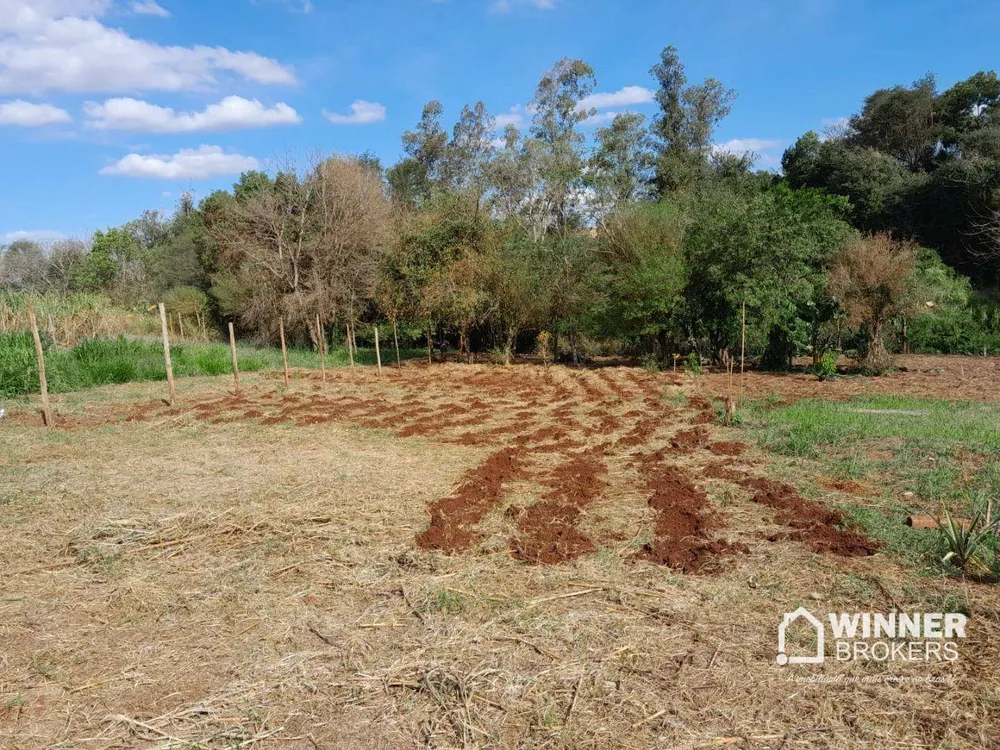 Terreno, 1000 m² - Foto 2