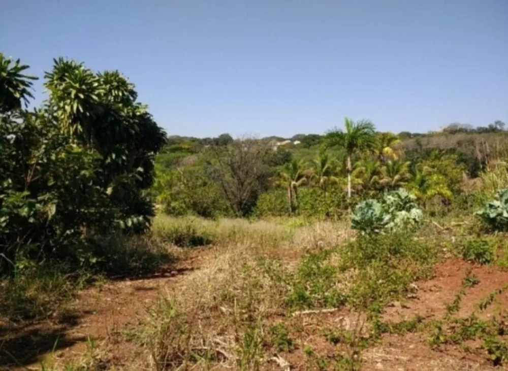 Terreno, 1 hectares - Foto 1