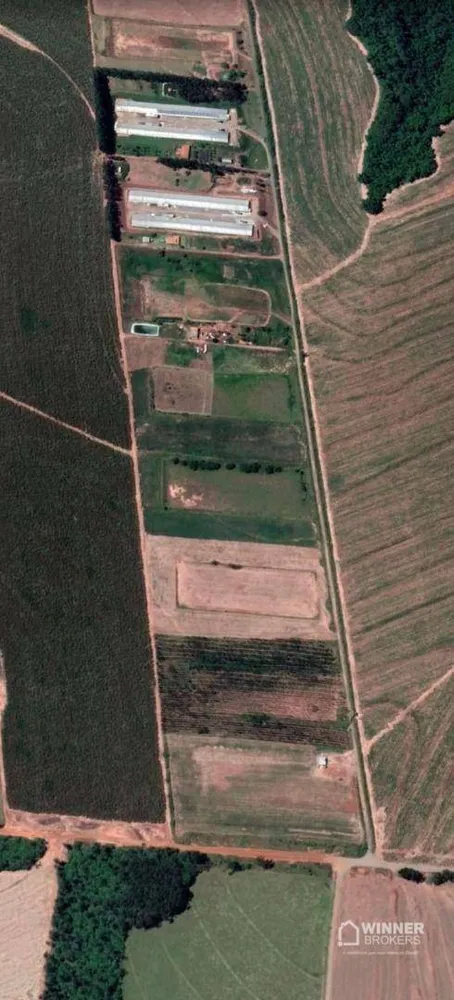 Sítio, 1 quarto, 4 hectares - Foto 6