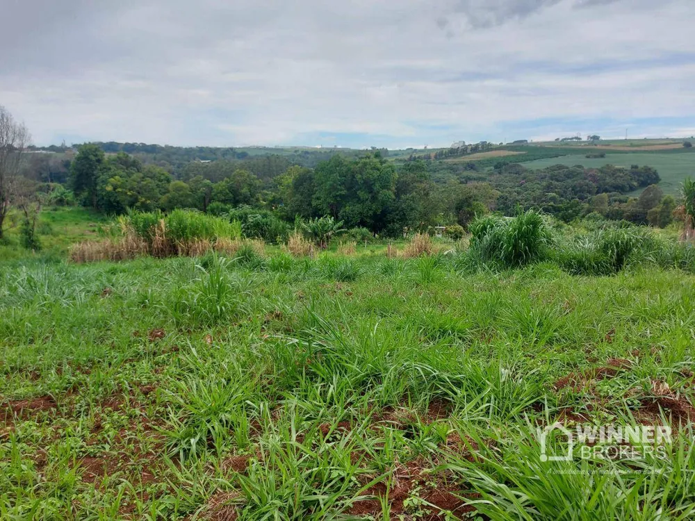 Sítio, 1 quarto, 4 hectares - Foto 4