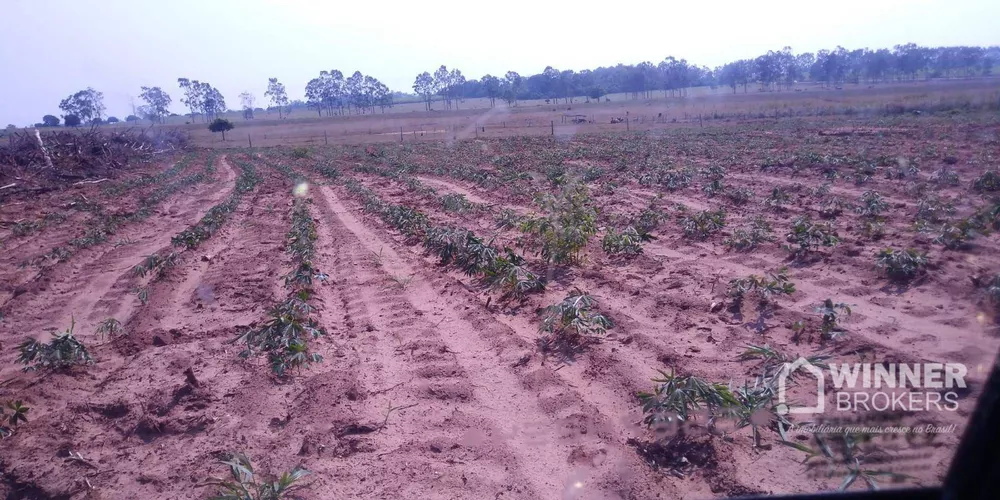 Chácara à venda com 1 quarto, 20000M2 - Foto 2