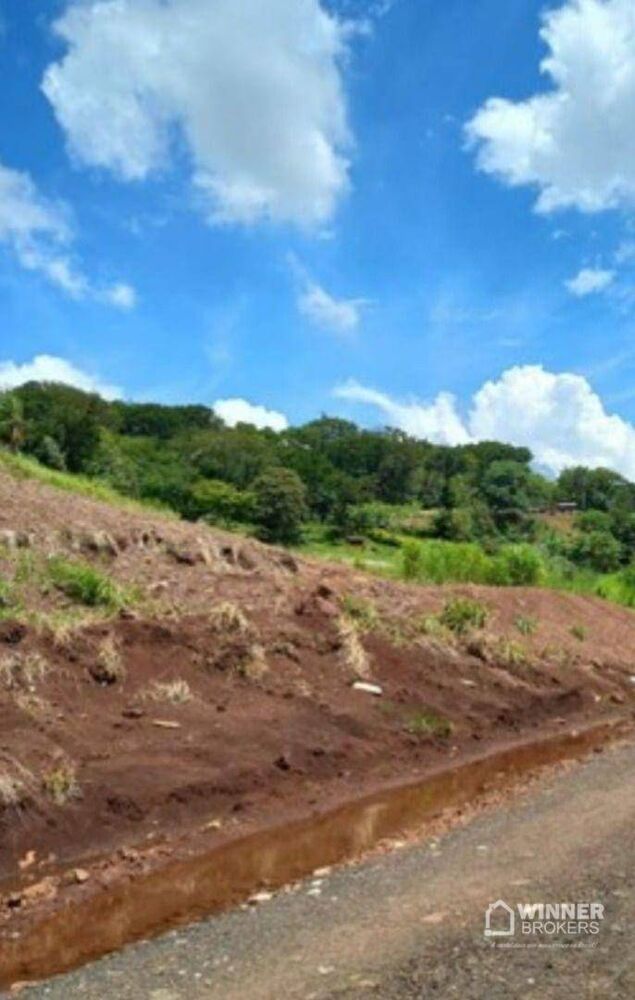Terreno à venda, 1250M2 - Foto 3