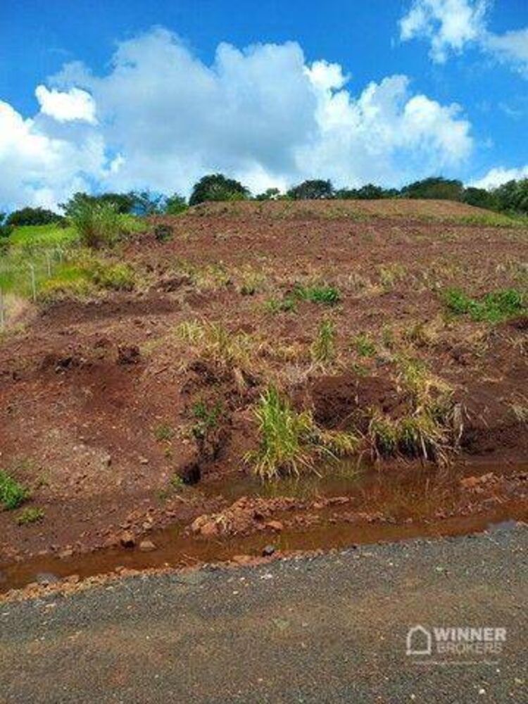 Terreno à venda, 1250M2 - Foto 1