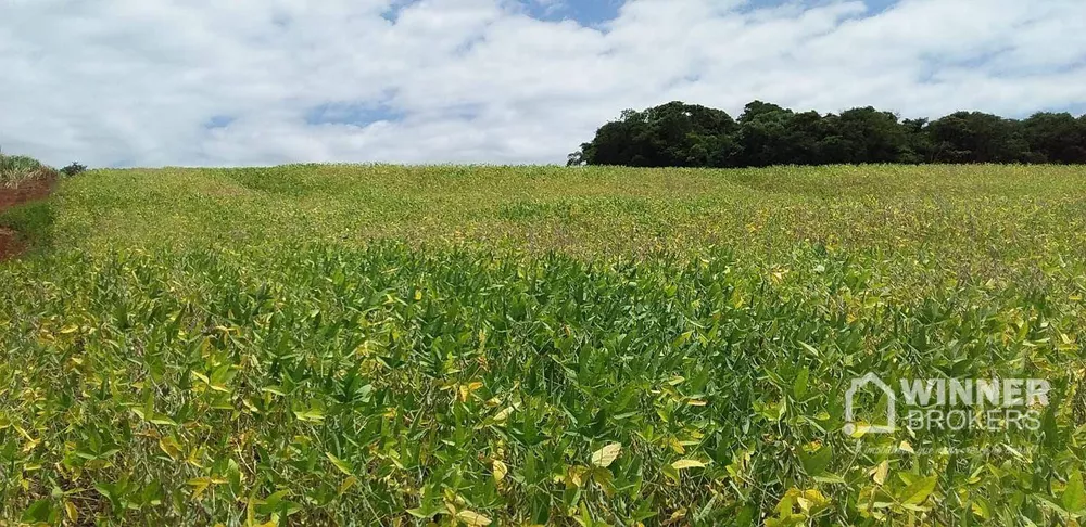 Chácara à venda, 40340M2 - Foto 2