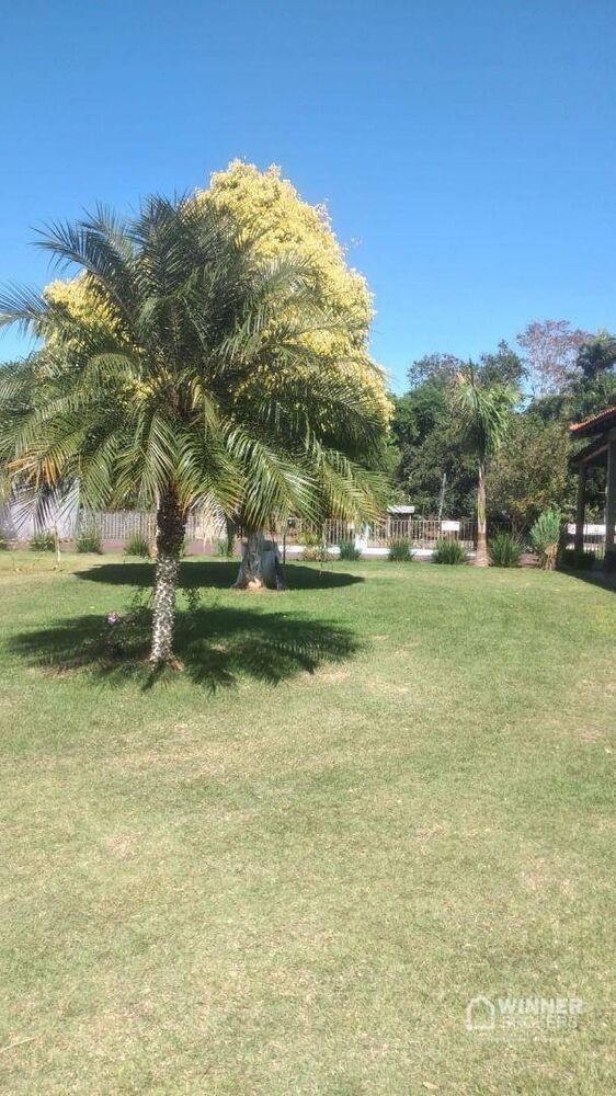 Chácara à venda com 2 quartos, 270m² - Foto 4