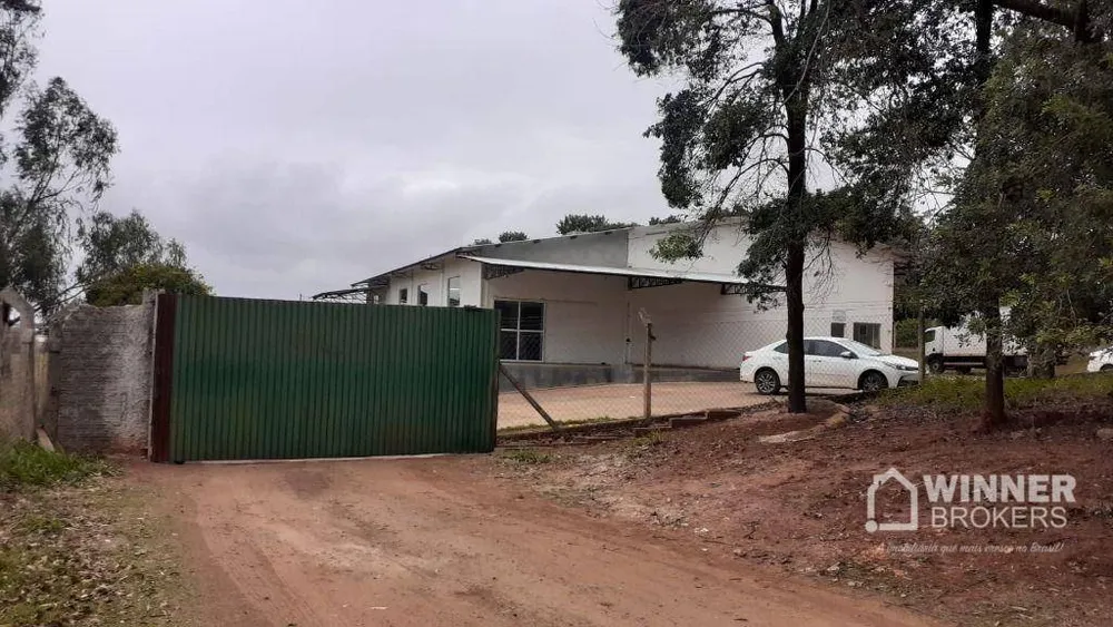 Fazenda, 6 hectares - Foto 12