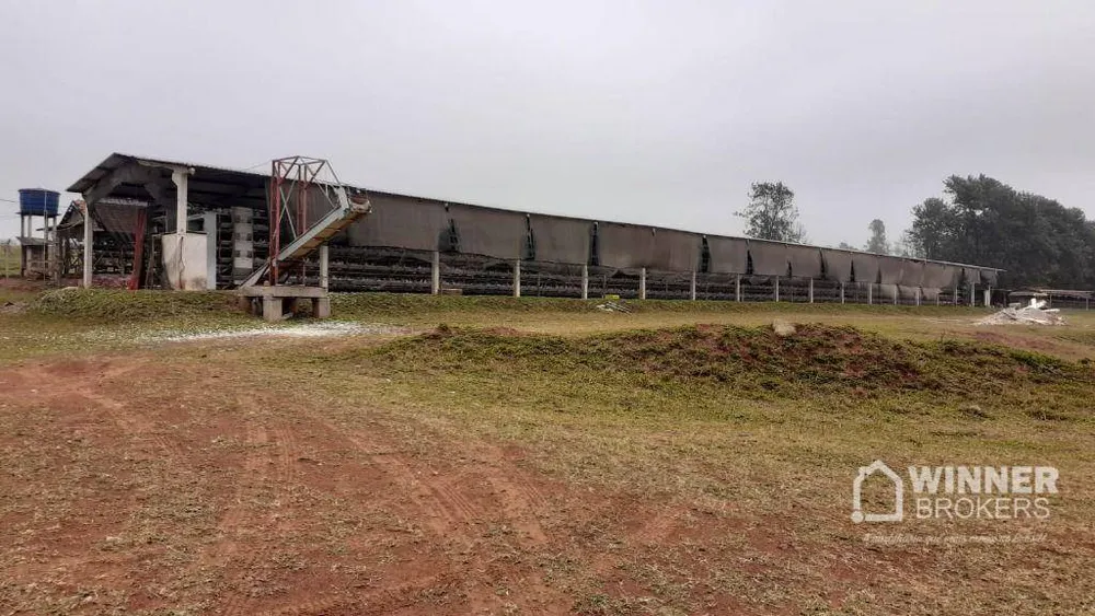 Fazenda, 6 hectares - Foto 1