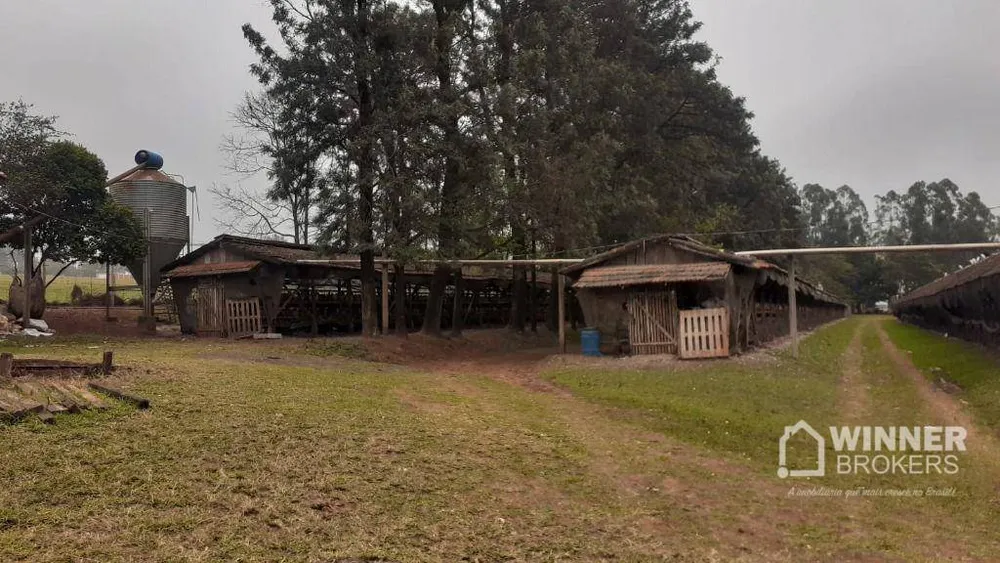 Fazenda, 6 hectares - Foto 2