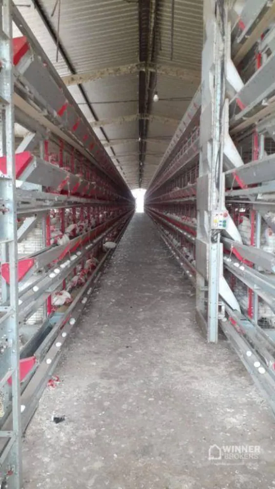 Fazenda, 6 hectares - Foto 6