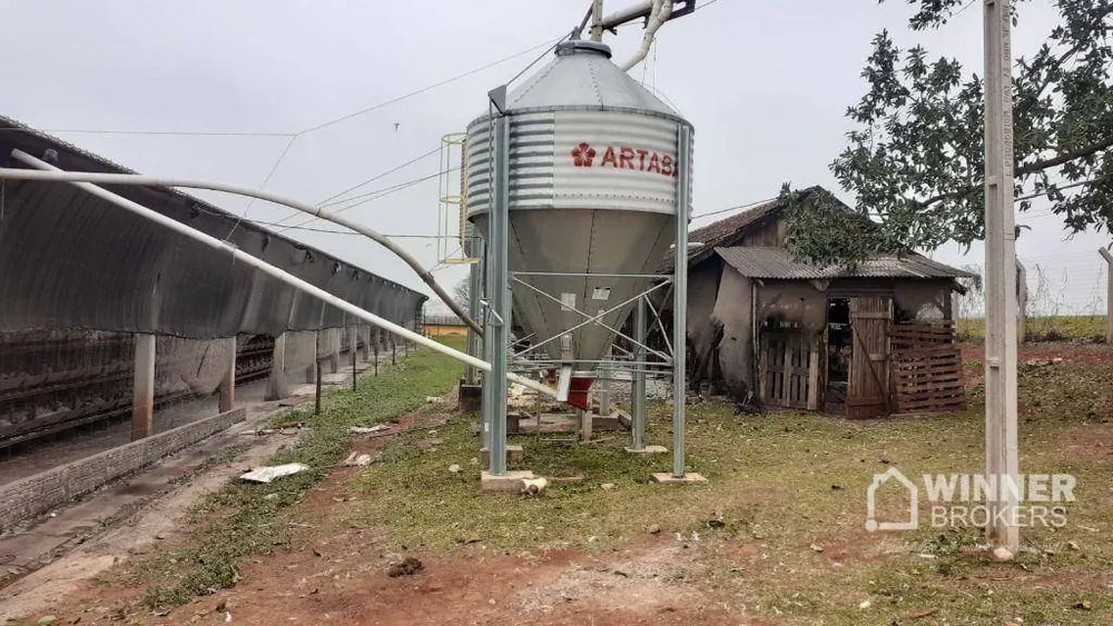 Fazenda, 6 hectares - Foto 4