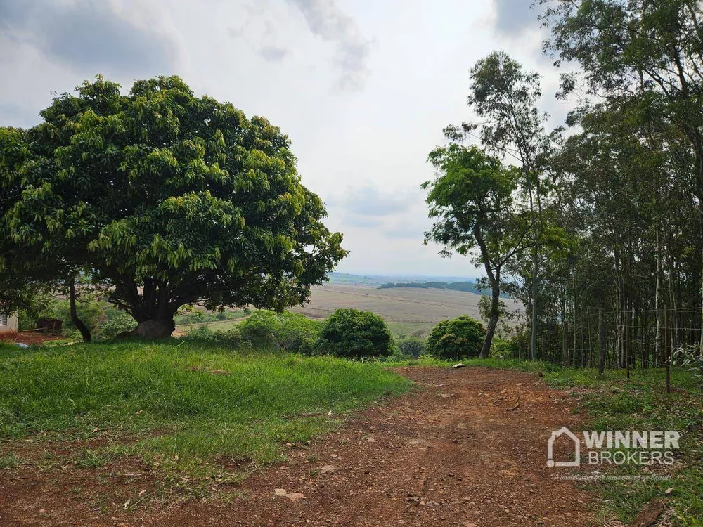 Chácara à venda com 3 quartos, 100m² - Foto 6