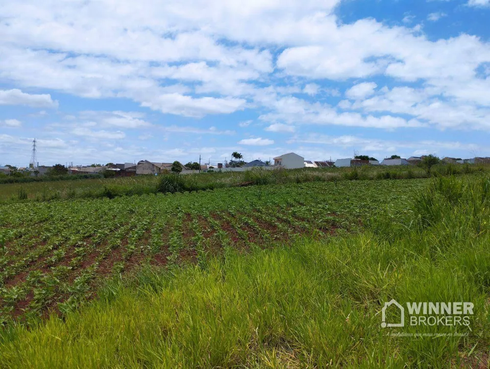 Terreno à venda, 401M2 - Foto 1