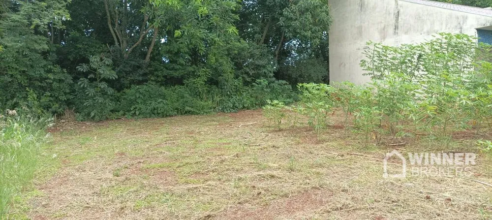 Terreno, 435 m² - Foto 9