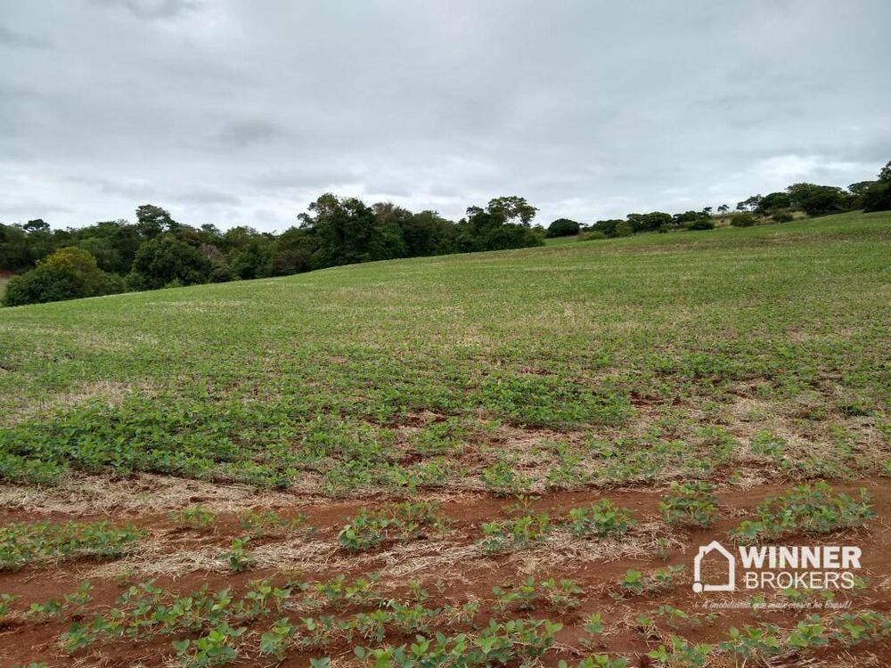 Chácara à venda com 1 quarto, 42730M2 - Foto 4
