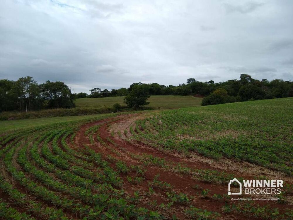 Chácara à venda com 1 quarto, 42730M2 - Foto 2
