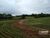 Chácara, 1 quarto, 4 hectares - Foto 2