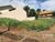 Terreno, 450 m² - Foto 1