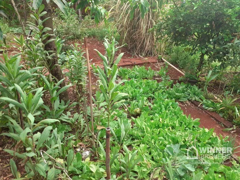 Chácara, 1000 m² - Foto 12