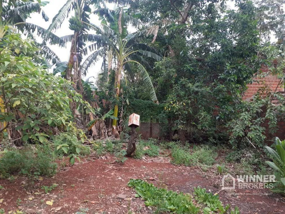 Chácara, 1000 m² - Foto 10