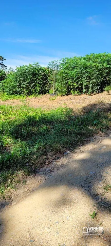 Terreno, 1890 m² - Foto 4