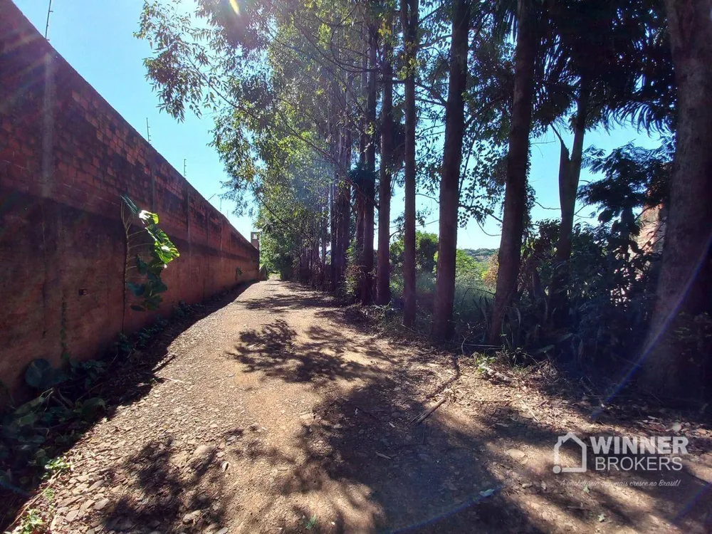 Terreno, 2 hectares - Foto 9