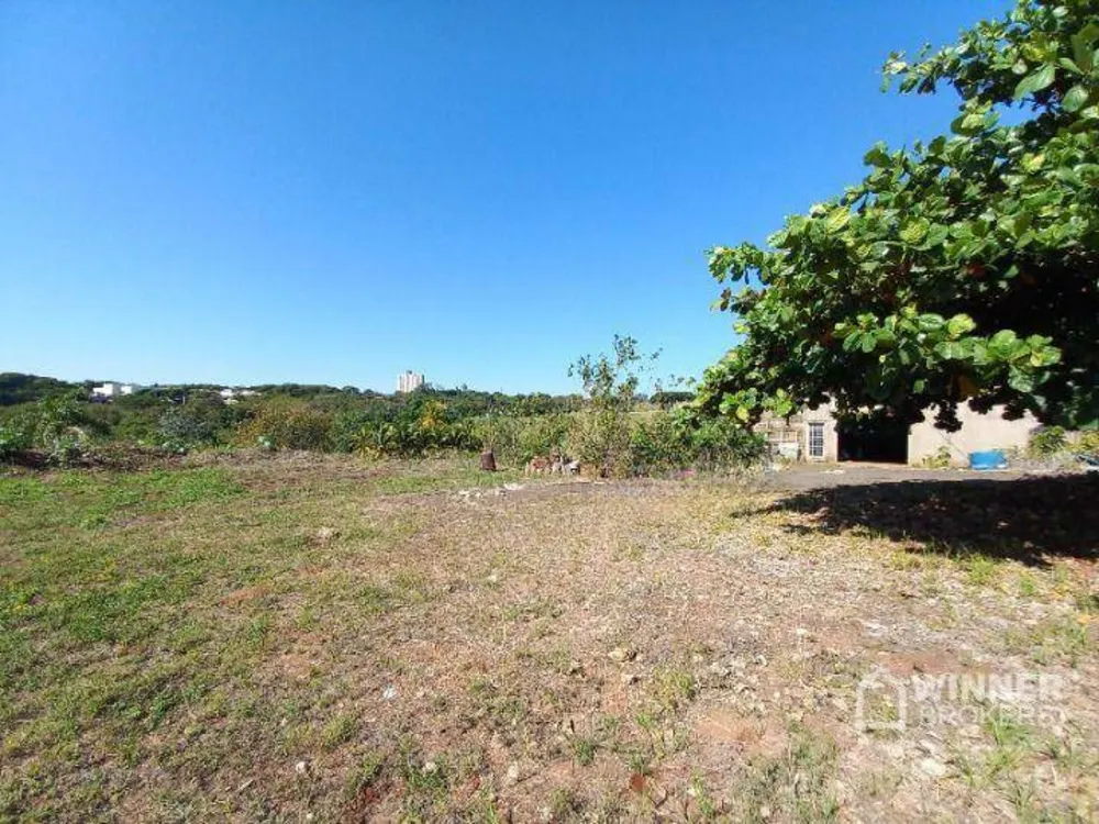 Terreno, 2 hectares - Foto 6