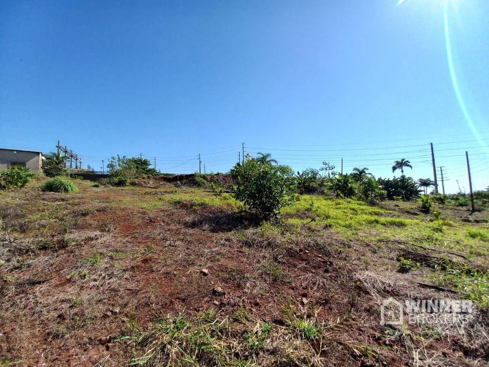 Terreno, 2 hectares - Foto 4