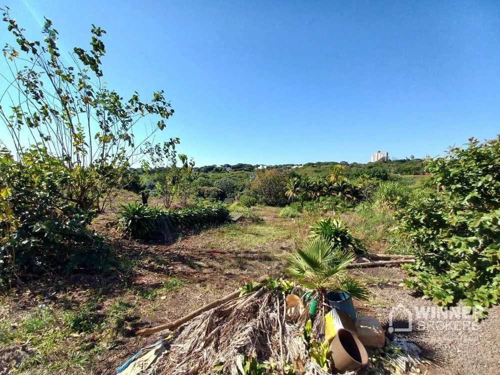 Terreno, 2 hectares - Foto 3