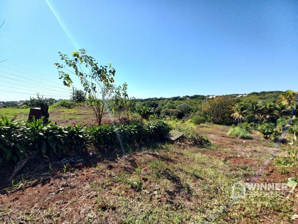 Terreno, 2 hectares - Foto 2