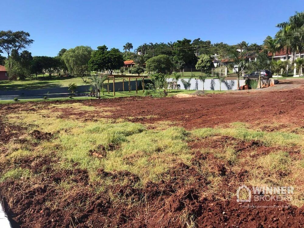 Chácara à venda com 3 quartos, 4210M2 - Foto 5