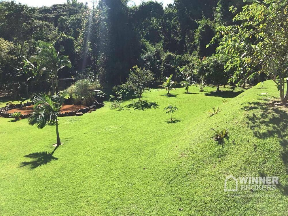 Chácara à venda com 3 quartos, 4210M2 - Foto 6