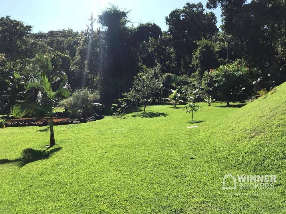 Chácara à venda com 3 quartos, 4210M2 - Foto 7