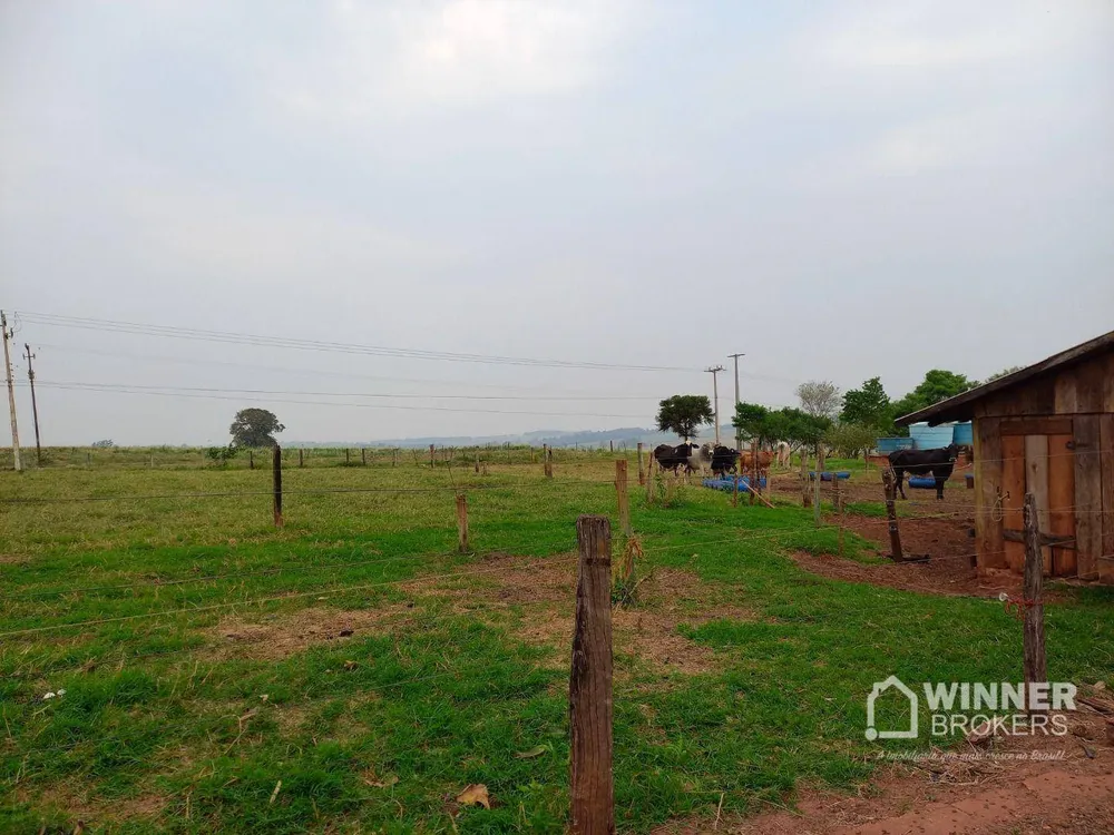 Chácara, 3 quartos, 2 hectares - Foto 8