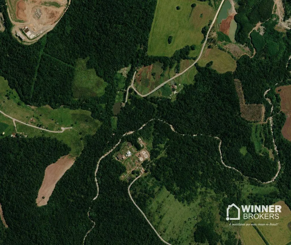 Sítio, 20 hectares - Foto 4