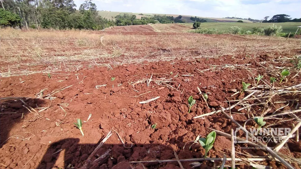 Chácara, 3 hectares - Foto 2